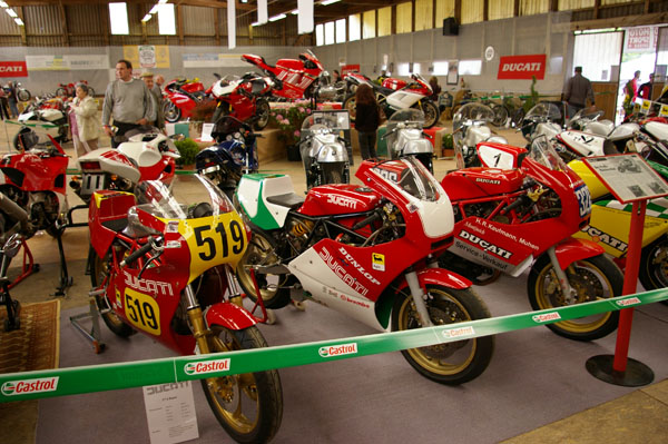 IMGP2479