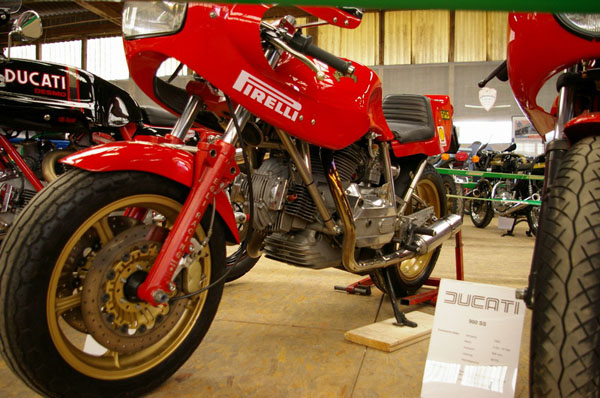 IMGP2500