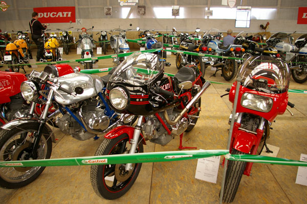 IMGP2502