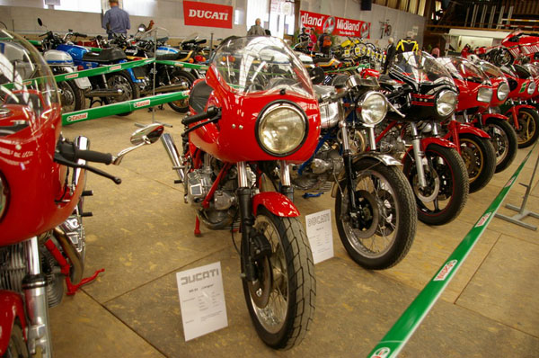 IMGP2503