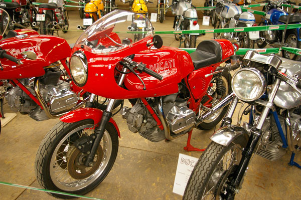IMGP2504