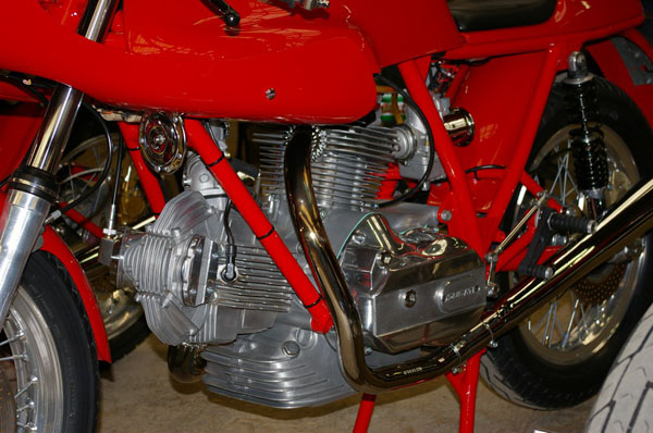 IMGP2508