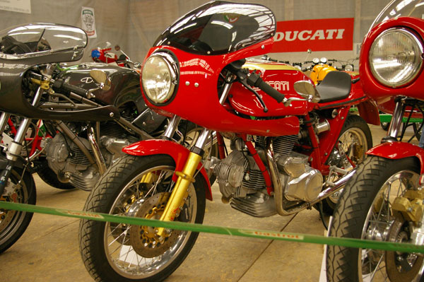 IMGP2509