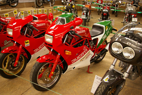 IMGP2516