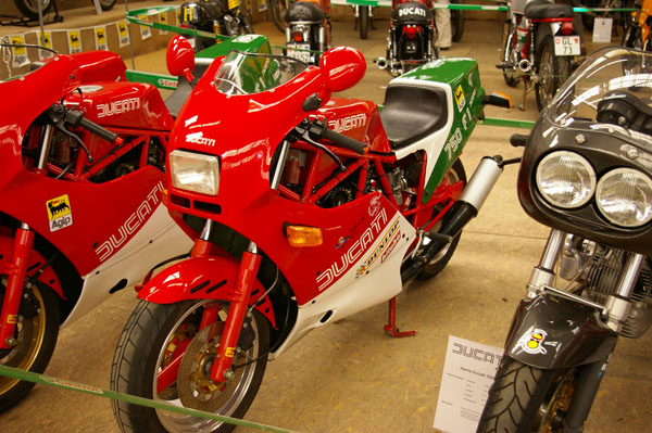 IMGP2517