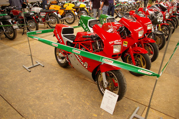 IMGP2520