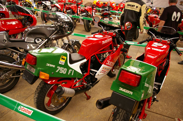 IMGP2525