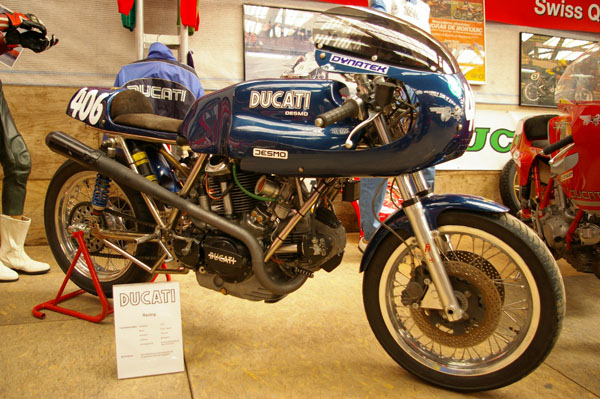IMGP2544