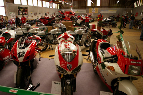 IMGP2550
