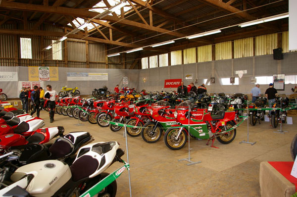 IMGP2555