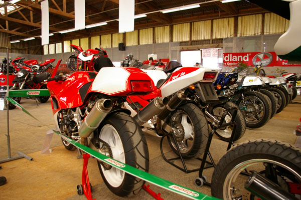 IMGP2575