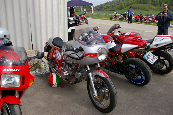 IMGP2619