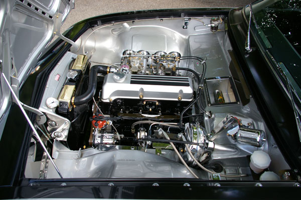 IMGP3703