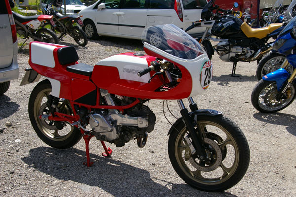 IMGP4884