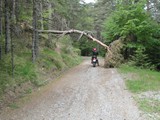 Grenzkammstrasse 2011 (3)