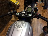 20190202-Bike Tulln-043