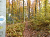 20211030- Clubwanderung - 038