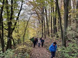 20221029- Clubwanderung - 007