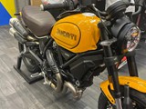 Erwin 50