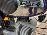 20230514- HJO -104- TT Breitenfurt