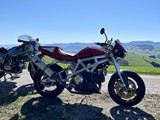 20240908- Perbersdorf - 0007 - DMCA Clubtreffen
